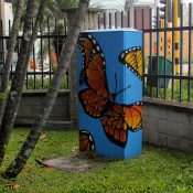 16707620_1042172352554198_6173243875721669104_o-1